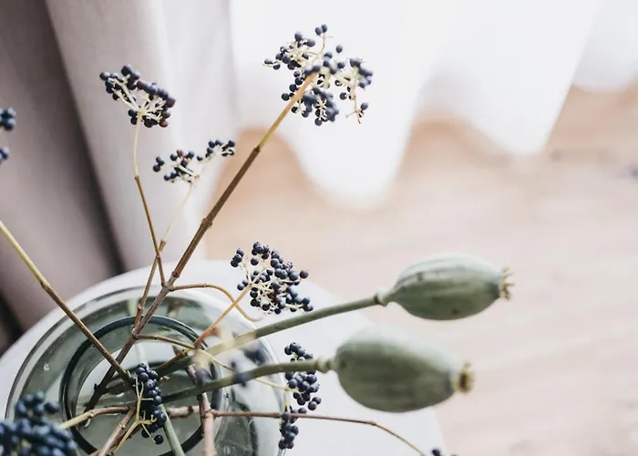 Vaya Hotel Fieberbrunn