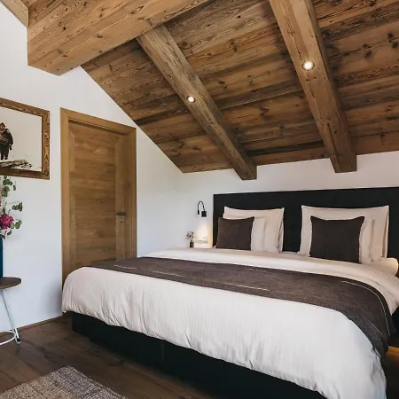 Otel Vaya 4*